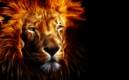 zodiac ~ Leo - black, fantasy, animal, leo, lion, orange, zodiac, fractal