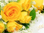 Yellow roses