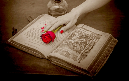 MY LOVE FOR YOU WILL NEVER FADE! - pages, nailcolor, book, lady, vintage, red, old, land, rose