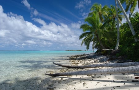 One Foot Island Aitutaki Tuamatu Atoll French Polynesia - beach, trees, pacific, paradise, polynesian, one, tuamatu, polynesia, french, aitutaki, atoll, lagoon, south, sand, ocean, islands, tropical, foot, palm, exotic, alone, blue, beautiful, island, sea