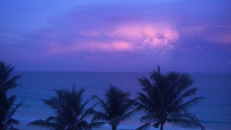 Sunset Reflection - cancun, mexico, sky, palmtrees, sunset, refection