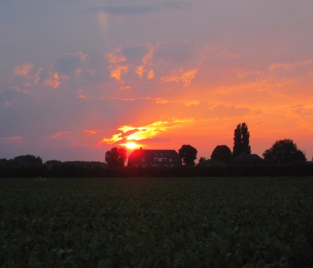 Suns@t - nature, sky, sun, clouds, field, house, sunset