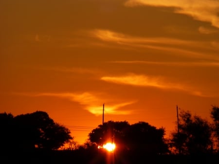 Peek-a-Boo Sun - sky, sunset, trees, sun