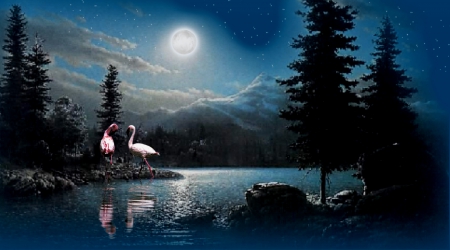 Beautiful Night - pretty, fulmoon, river, beautiful, night