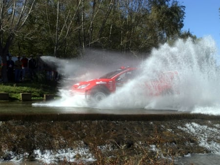 Peugeot 206 - wrc, rally, off-road, nature, mud, 206, Peugeot