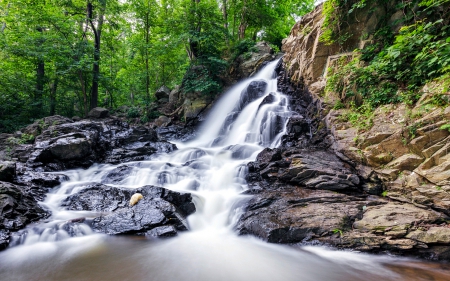 Harpers Ferry, West Virginia - Trees, Rocks, Waterfall, USA