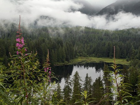 Deserted lake - lakes, nature