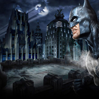 DC Universe Batman