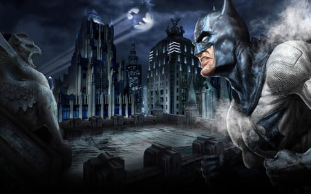 DC Universe Batman - one, cool