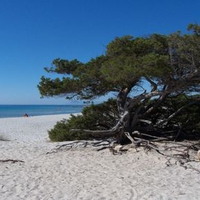 	Mediterranean beach