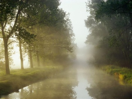 Ratzeburg, Germany - path, trees, rain, sun