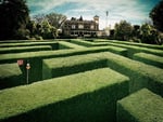 Maze