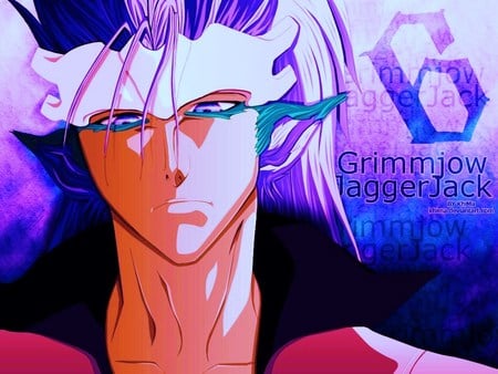 grimmjow - jaggerjack, jagger jack, pantera, grimmjow, spada