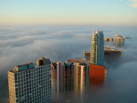 Morning Fog Over Brickel Avenue Miami,Florida - morniing, fog, buildings