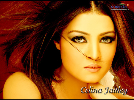 celina kaitely  - movies, bollywood