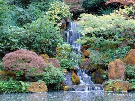 Japanese garden - nature, gardens