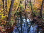 Tranquil creek