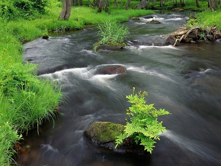 Drift away - stream, drift, water, river