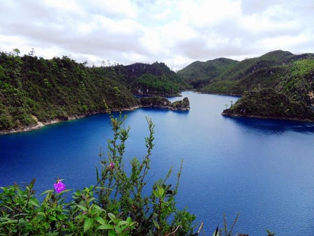 San Cristobal - flowers, san cristobal, blue