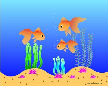 Goldfish aquarium - aquarium, goldfish, fish