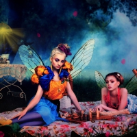 Fairy Picnic