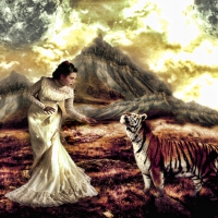 Tiger Kingdom