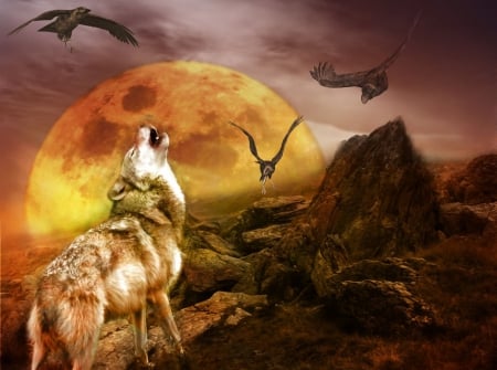 RAVEN'S HOWL - wolf, animals, ravens, moon, howling, birds