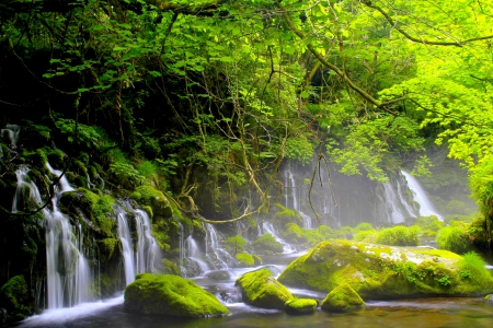 FOREST RIVER FALLS - river, forest, nature, falls