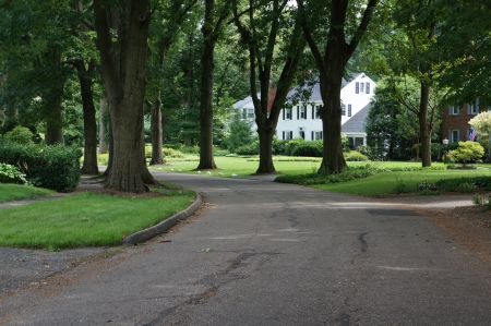 Winding Road - winding road, road, scenic street, scenic road