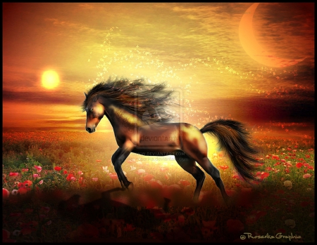 ~Hp Soar on Poppy Fields~ - fields, photomanipulation, animals, plants, power, creative pre-made, horsepower, horse, digital art, backgrounds, beautiful, cheval, flowers