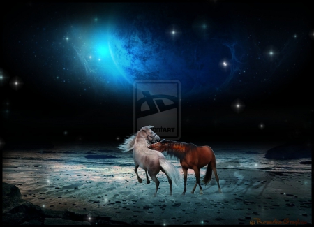 ~Area of Love~ - photomanipulation, beaches, lover, animals, area of love, rains, wonderful, creative pre-made, horses, amazing, digital art, moonlight, powers, stars, plants, spaces, horsepower, backgrounds, cheval, sweet couple