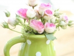 teapot of pink roses