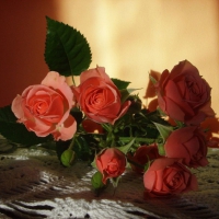 â™¥ Sunday Roses â™¥