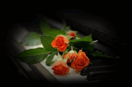 â™¥ piano roses â™¥ - piano, roses, bouquet, flowers, still life