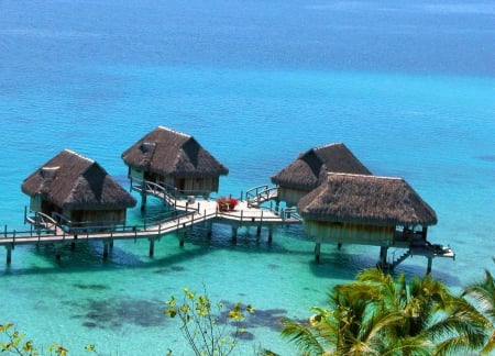 Bora Bora - lagoon, beach, island, crystal, view, exotic, nice, emerald, palms, water, beautiful, vacation, mirrored, sea, travel, lovely, ocean, rest, Bora Bora, tropics, tropical, huts