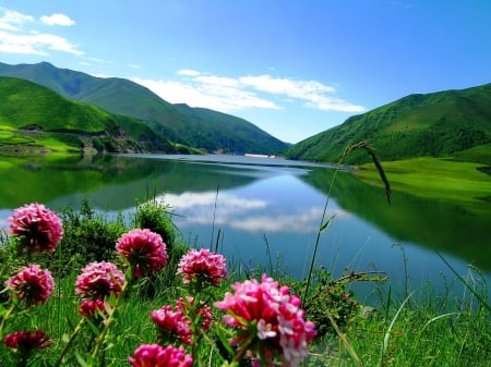 Mirrored mountain lake - summer, clear, quiet, grass, nature, mountain, crystal, greenery, mirrored, flowers, serenity, shore, lake, sky, reflection, clouds, calm, green