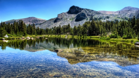 fantastic reflection in a clear lake - clear, lake, forest, reflection, mountain, stones