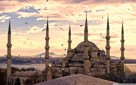 sultan ahmed mosque - istanbul, sultan ahmed, cami, mosque