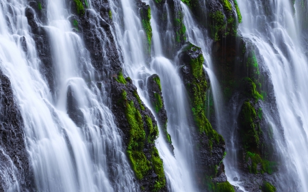 Burney Waterfalls, California - waterfall, plants, usa, rocks