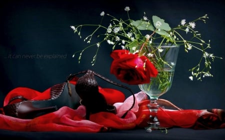 FOR the LADIES' - roses, handkerchief, flowers, vase, shoes