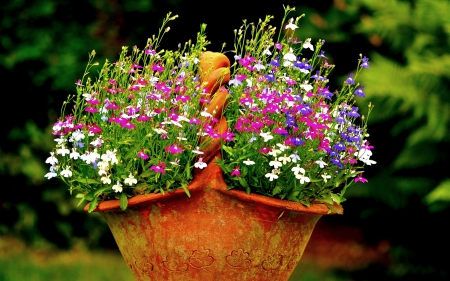 WILD FLOWERS - kittle, flowers, basket, wild