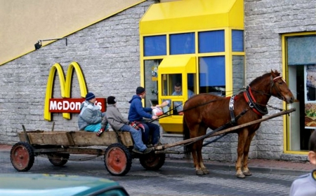 Somewhere in the World - horse, people, somewhere, food, world