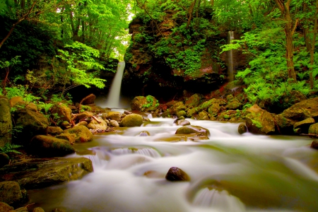 FOREST FALLS - nature, waterfalls, stones, forest