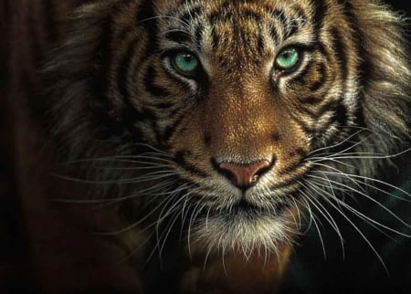 EYE OF THE TIGER - Cats & Animals Background Wallpapers on Desktop ...