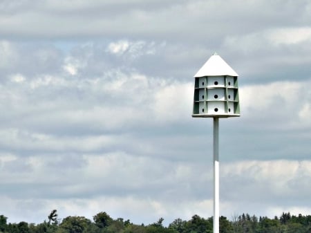 the bird feeder - white, sky, bird feeder, clouds