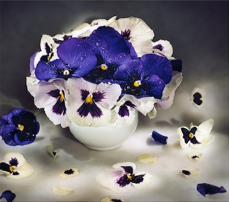 teactup of pansies - flowers, still life, pansies, teacup