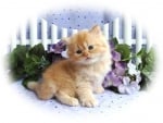 cute kitty and flowers