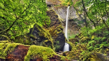 fantastic waterfall hdr - cliff, moss, waterfall, trees, log, hdr