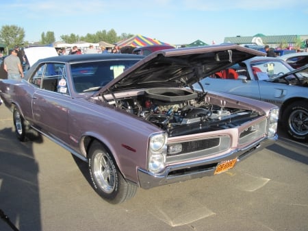 1966 Pontiac GTO - purple, headlights, photography, tires, pontiac, engine