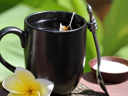 Still Life - spoon, tea, black bag, plumeria, flower, cup